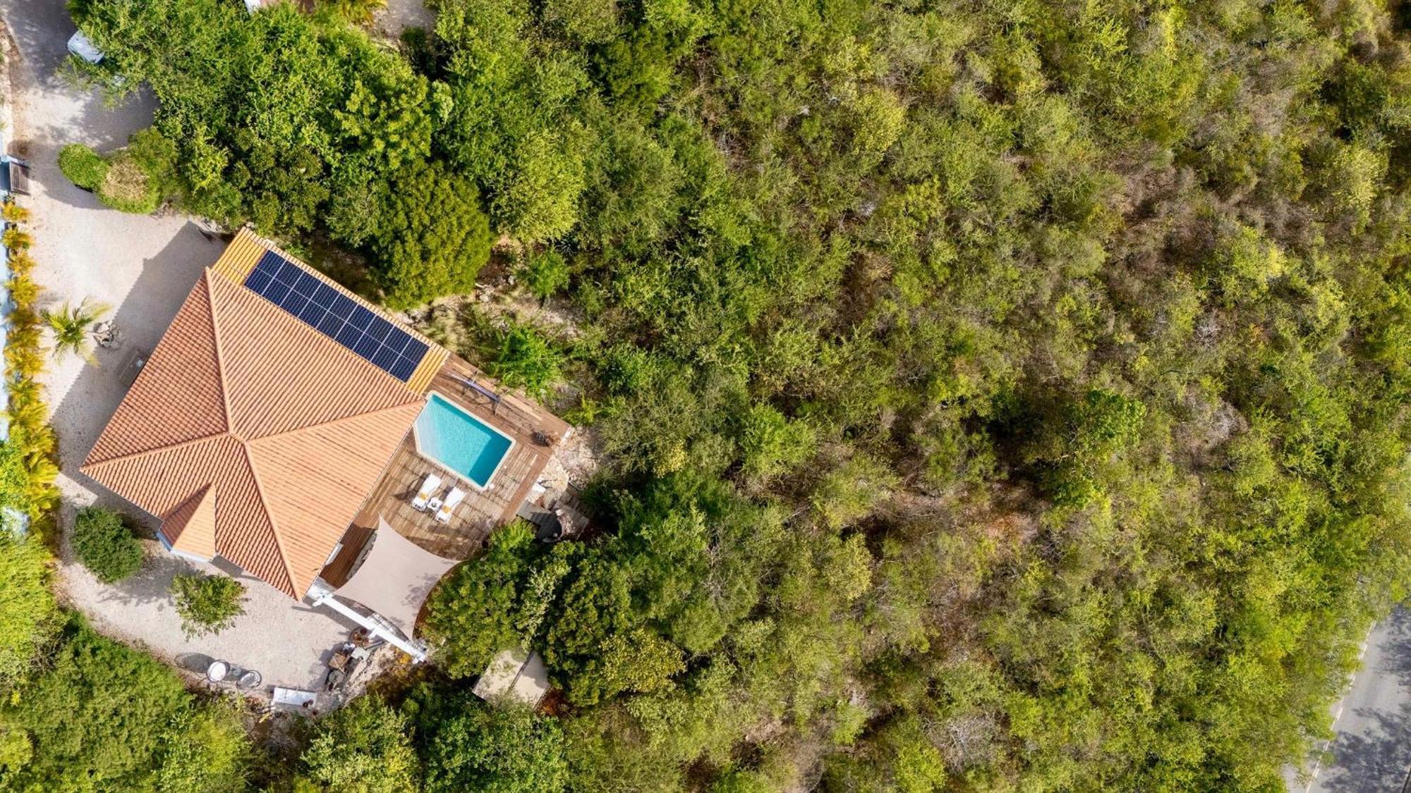 Coral Estate Rentals Willibrordus Exteriér fotografie